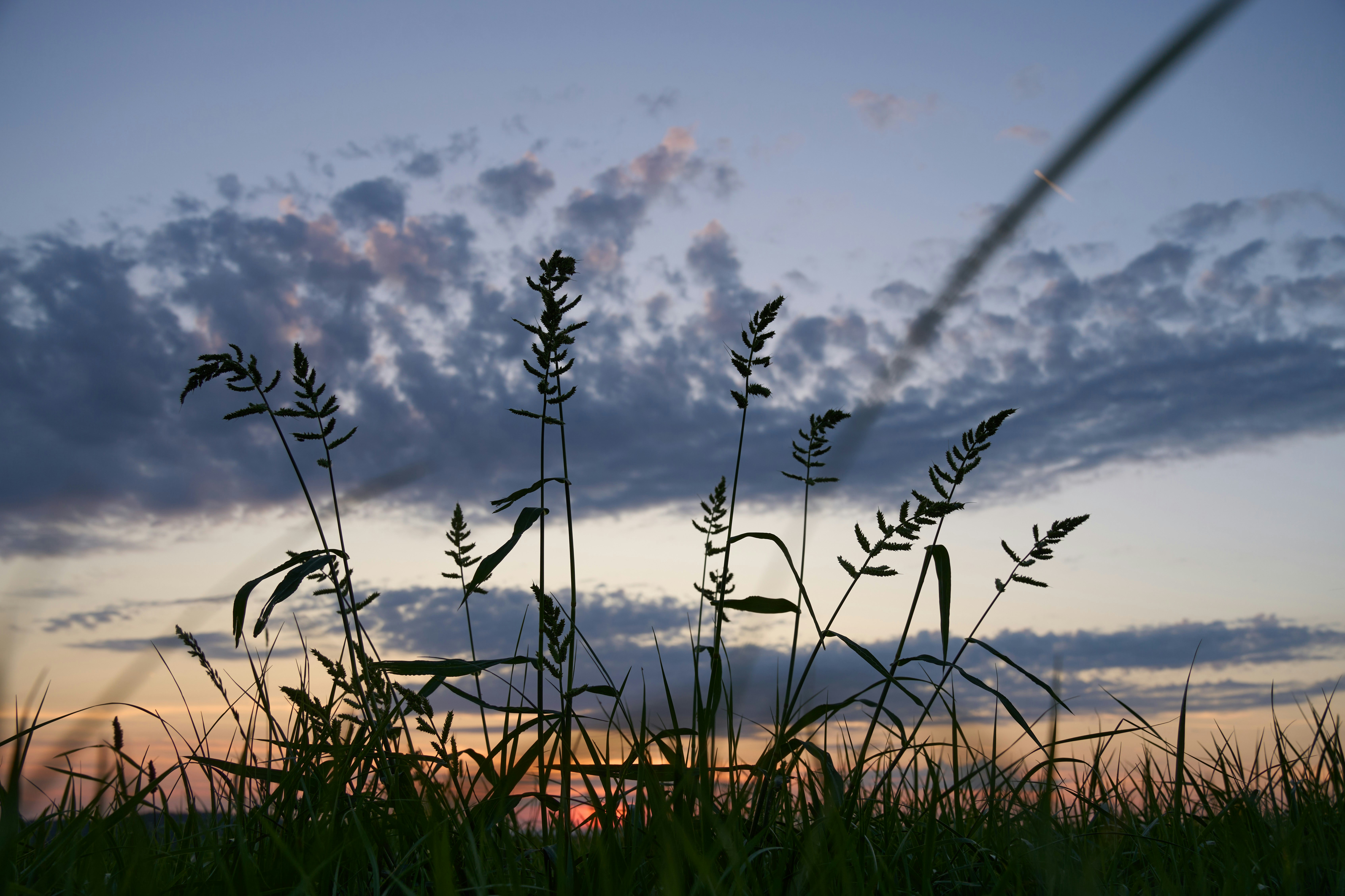 Photo by wolfgang_hasselmann