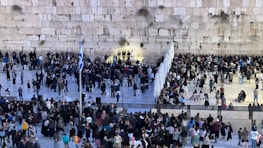 A vibrant crowd at World Youth Day, smiling and praying together.