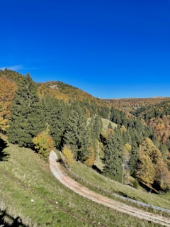 A winding dirt path cuts through a lush, green mountain landscape dotted with evergreen trees and deciduous trees in various stages of autumn foliage. The sky is clear and blue, with rolling hills extending into the distance, covered in dense forest.