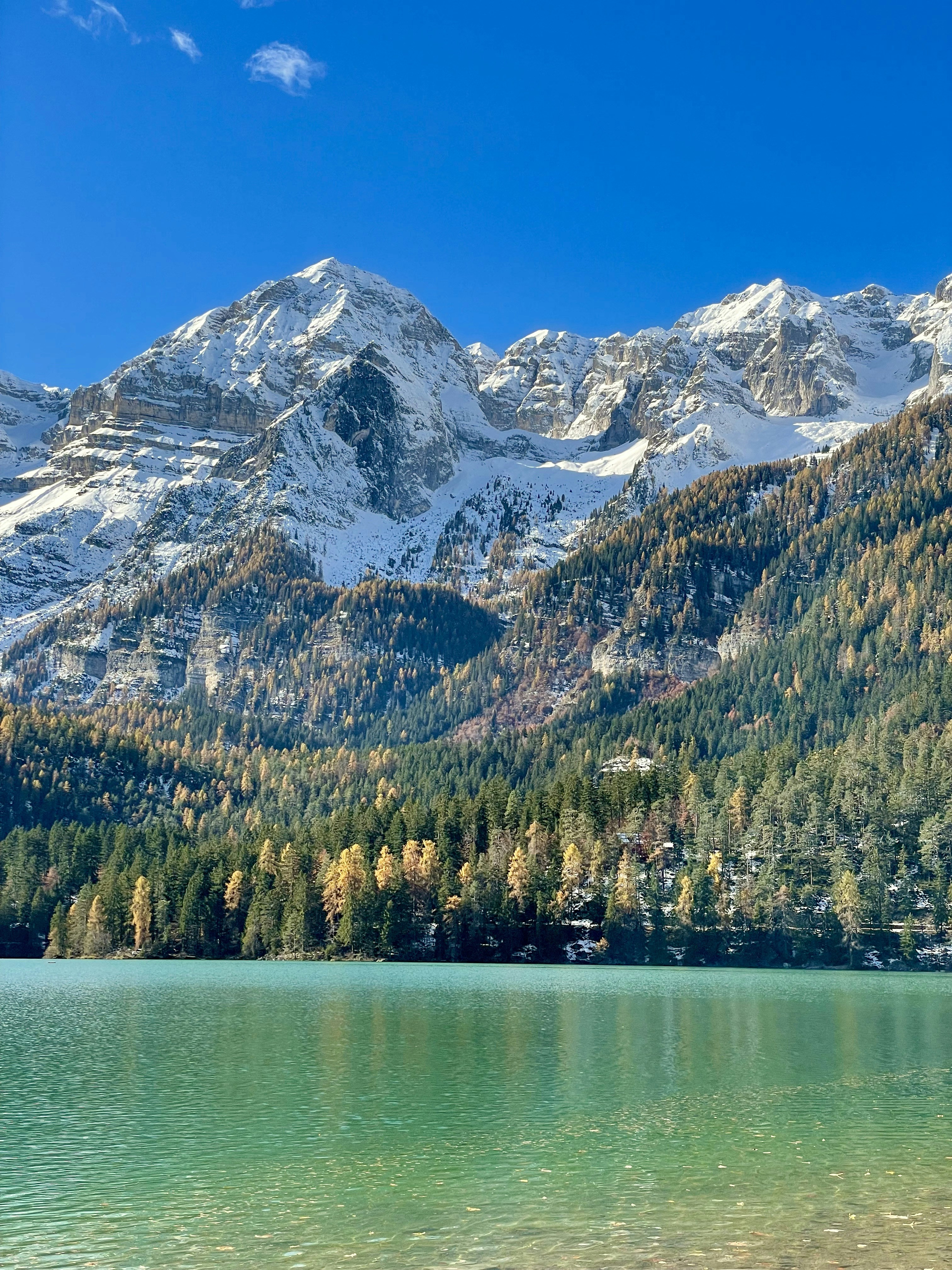 Understanding Walking Challenges in Progressive MS