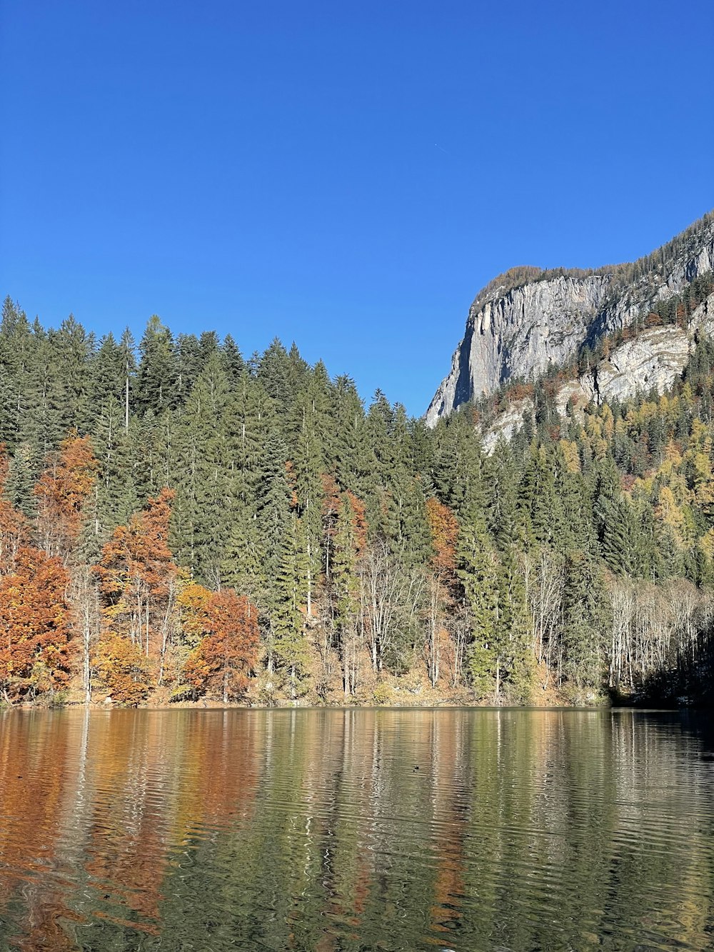 a body of water surrounded by trees and a mountain