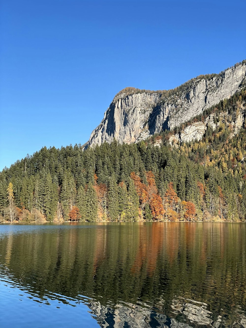 a lake surrounded by trees and a mountain