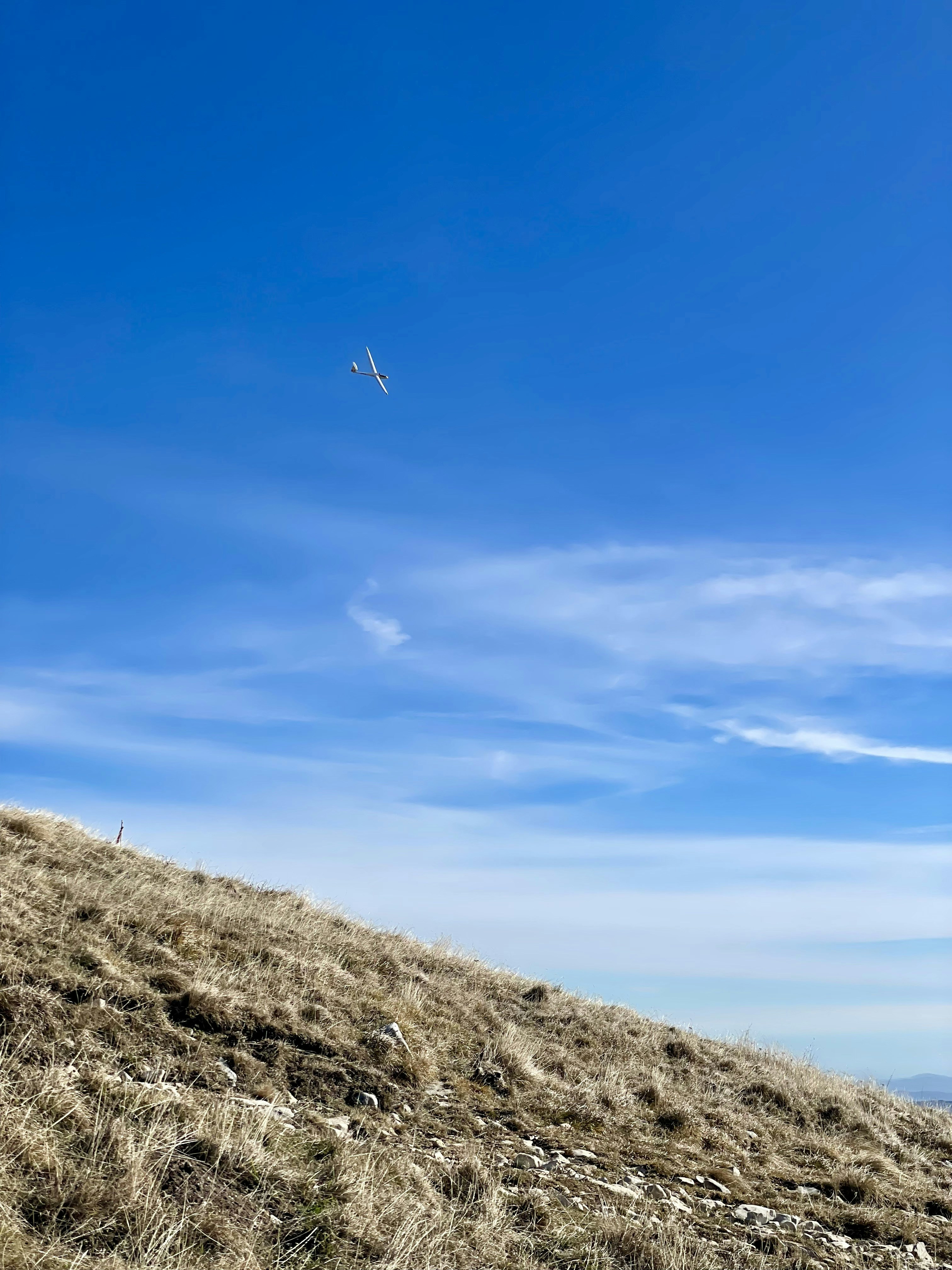 Photo by michaelmartinelli