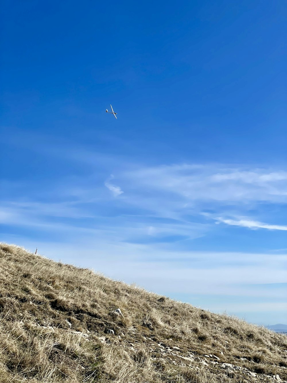 a person standing on a hill flying a kite