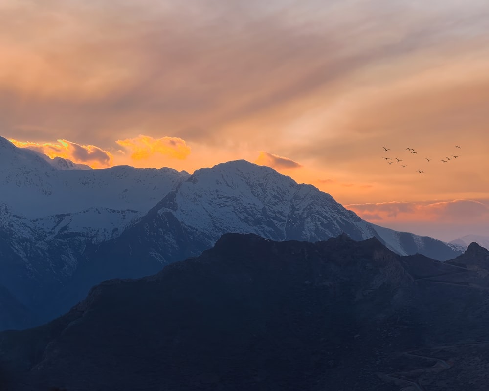 a group of birds flying over a mountain range