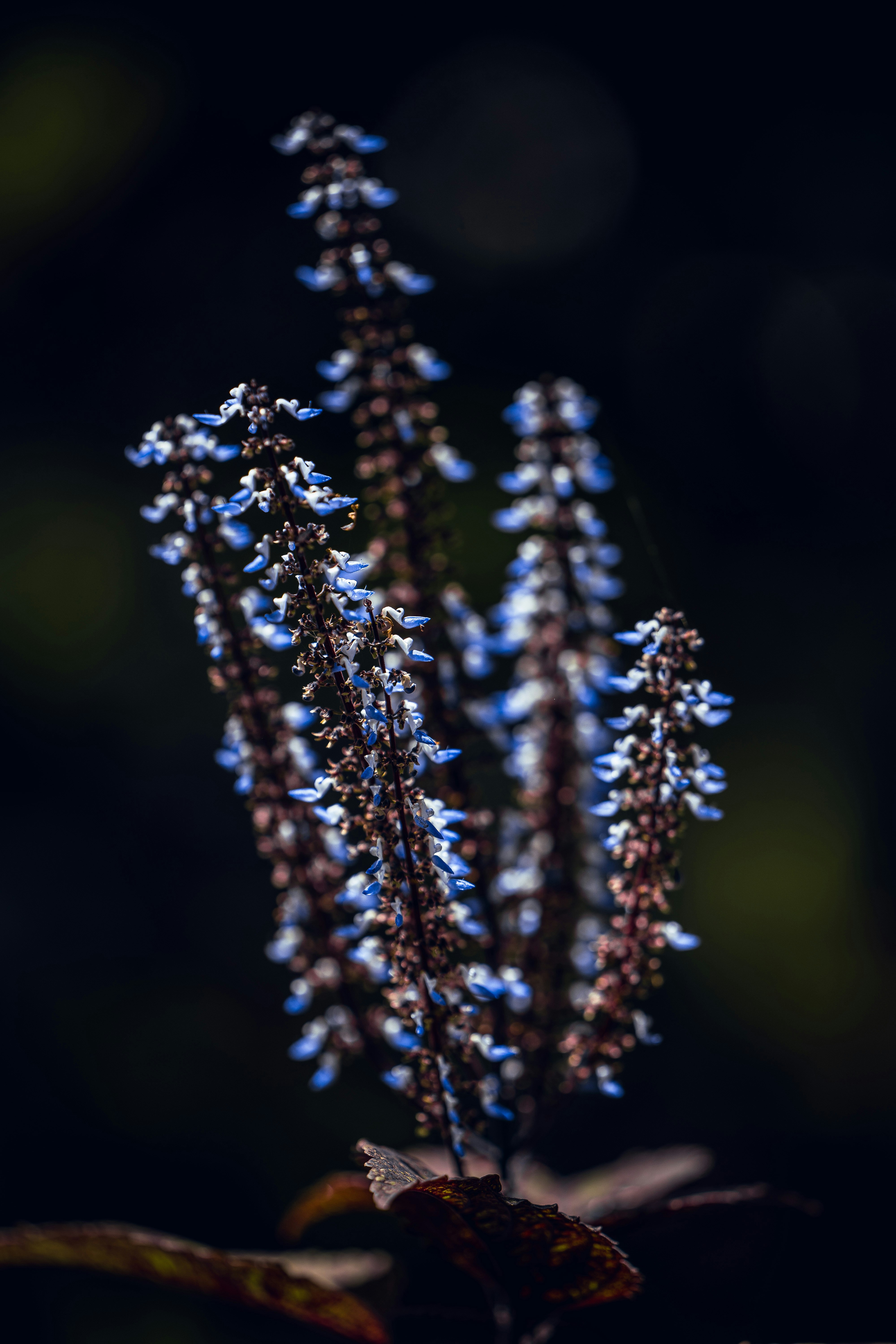 Photo by nithinenomcor