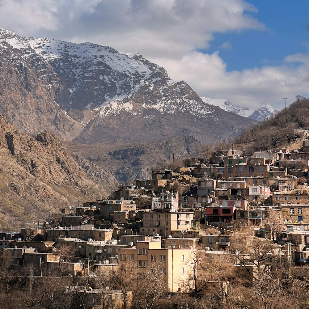a village in the mountains with a snow covered mountain in the background