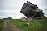 A wide shot of the eco-friendly goat barn with wooden structures surrounded by greenery.