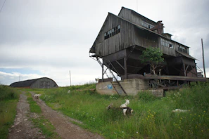 A wide shot of the eco-friendly goat barn with wooden structures surrounded by greenery.