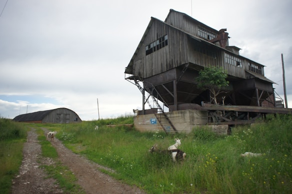 A rustic, wooden, elevated barn-like structure stands in a grassy area, with a dirt path leading up to it. A smaller, rounded building is visible in the background. A few goats are grazing in the grass near the path and around the main building.
