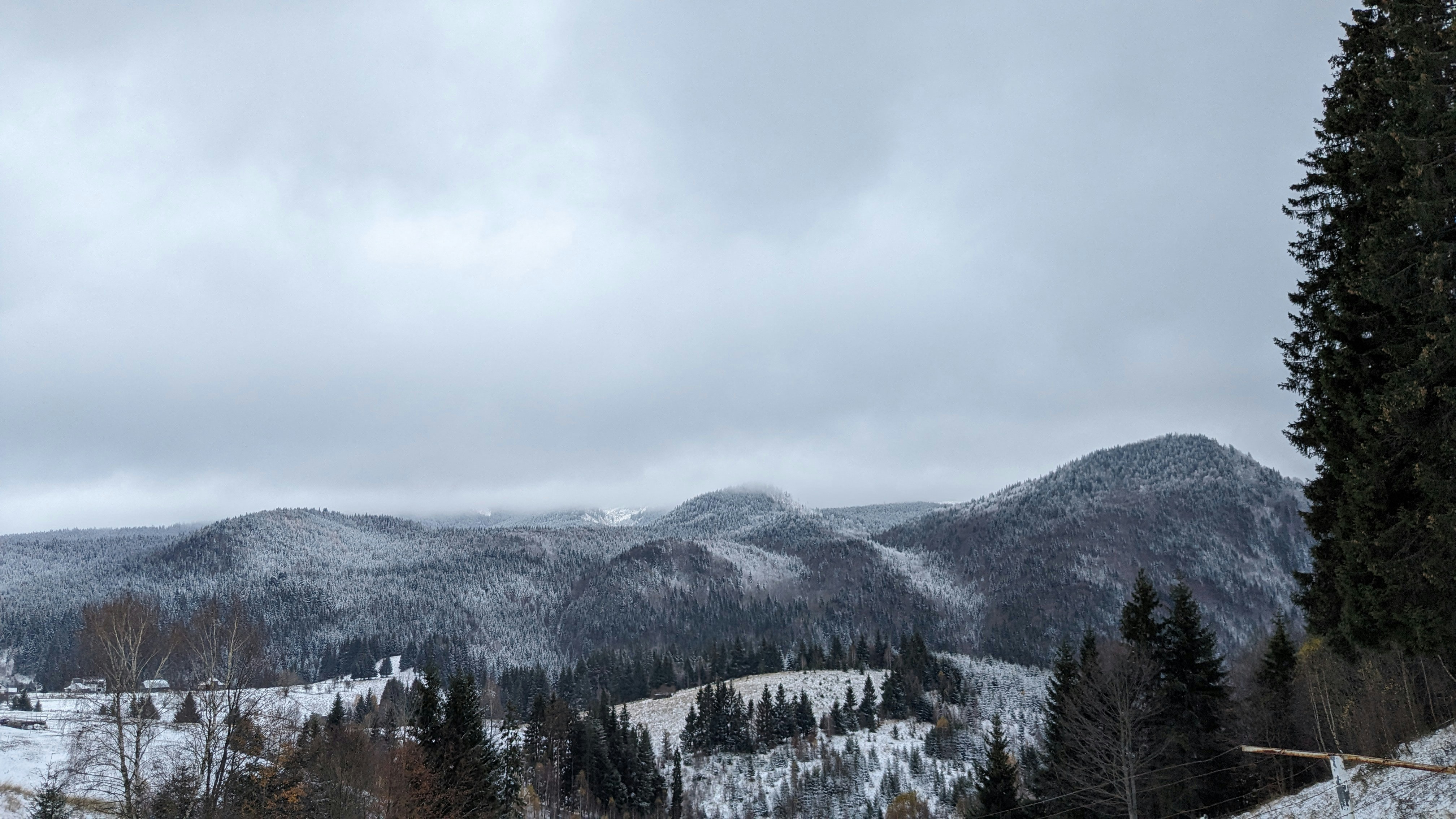 Photo by xpledneed48