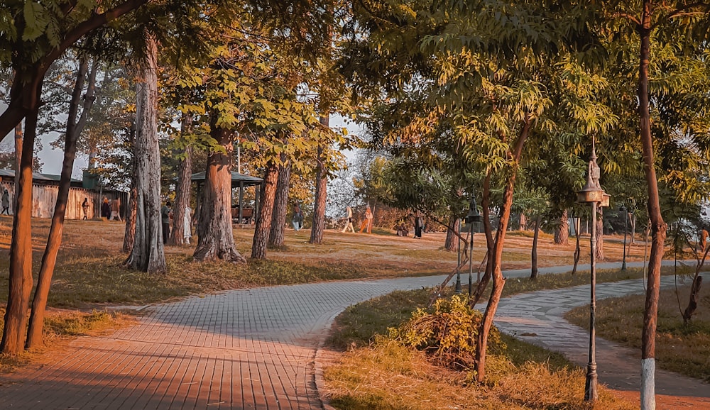 a pathway in a park with trees and a building in the background