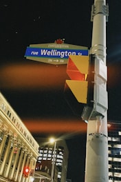 A street sign for Wellington Street is mounted on a pole next to a traffic light at night. The sign is blue and also features a maple leaf emblem. The background shows an illuminated multi-story building and a dark sky slightly lit by street lights.
