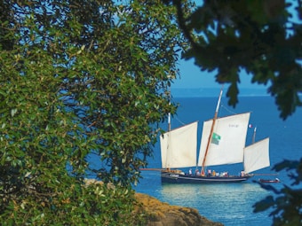 A sailboat with tall white sails and a group of people on board is seen on the ocean, framed by the greenery of leaves from nearby trees. The blue water and sky create a serene backdrop, adding to the picturesque scene.