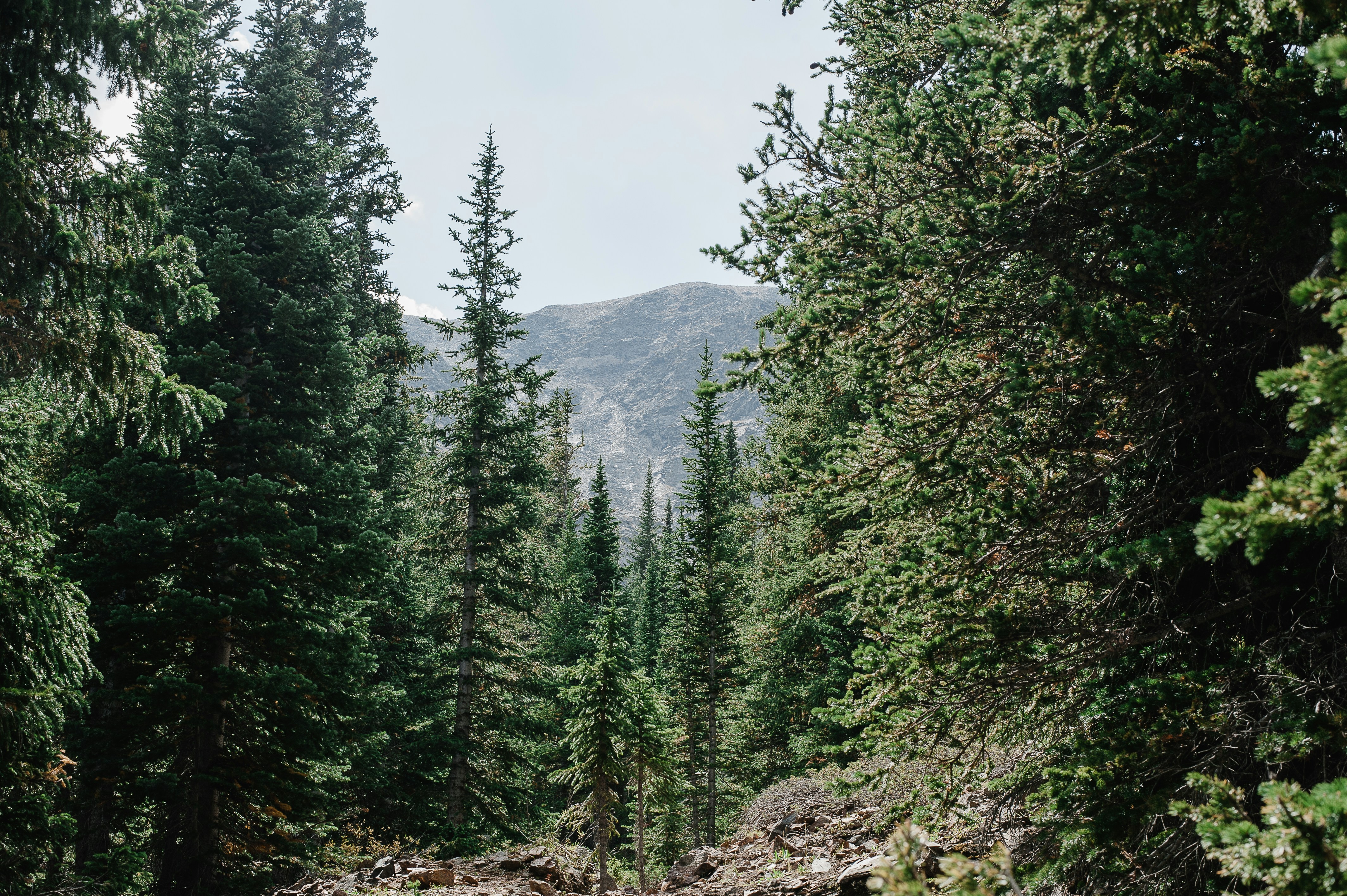 Photo by prairiepilgrim