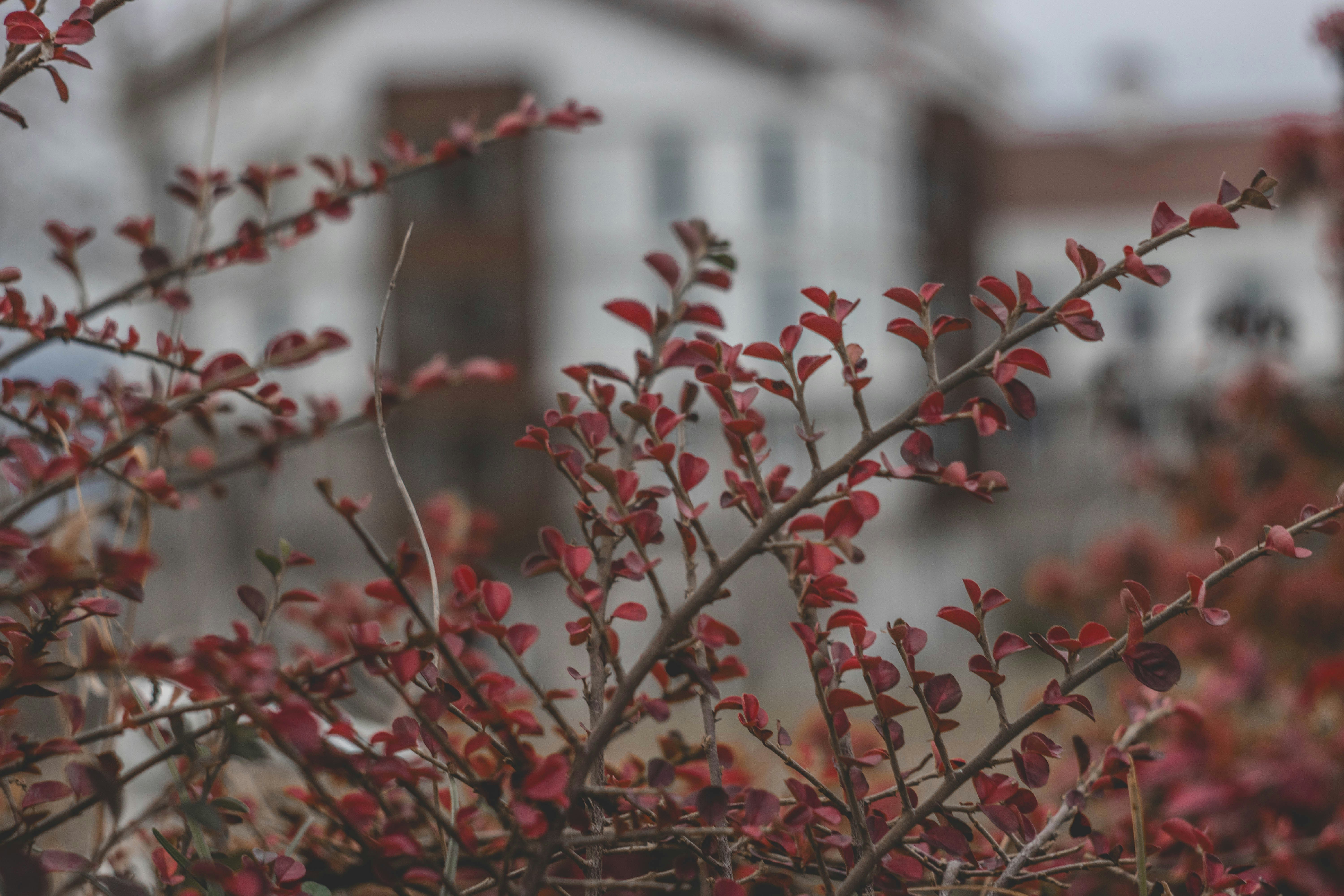 Photo by ragnarbeaverson