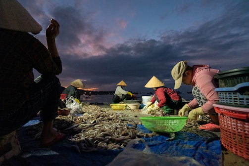 Farmers tending to shrimp ponds under bright sunlight.