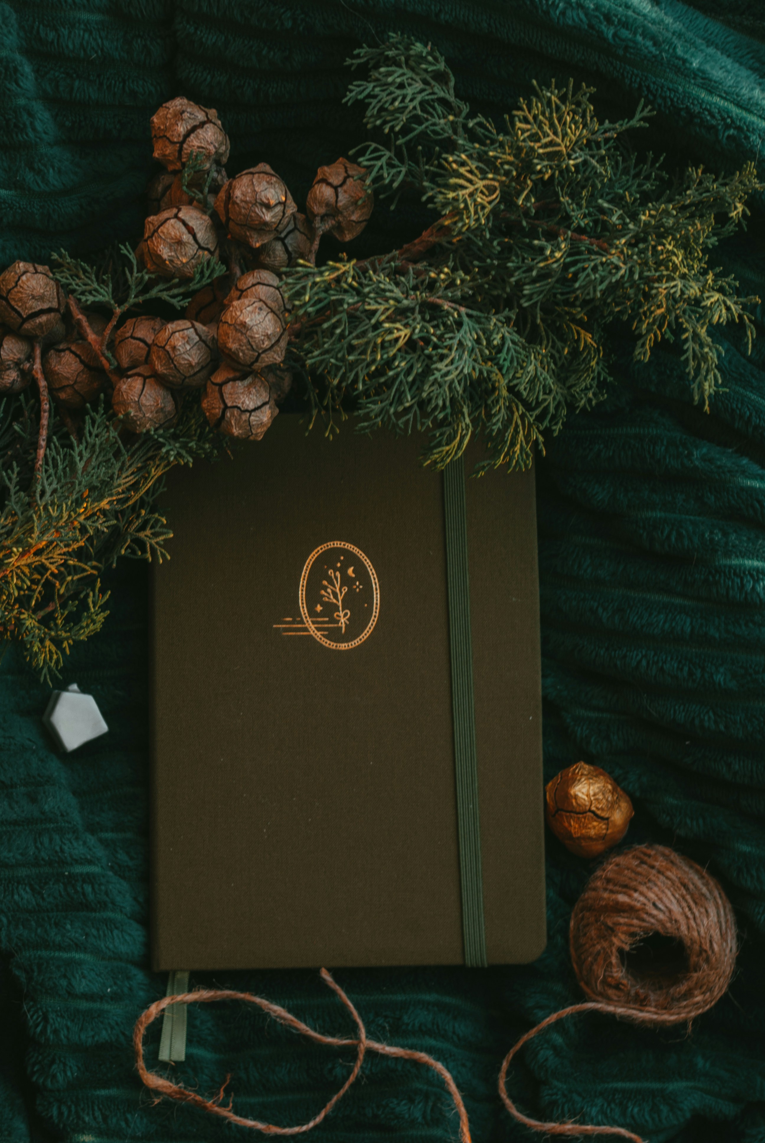 Photo by moonmoons_days