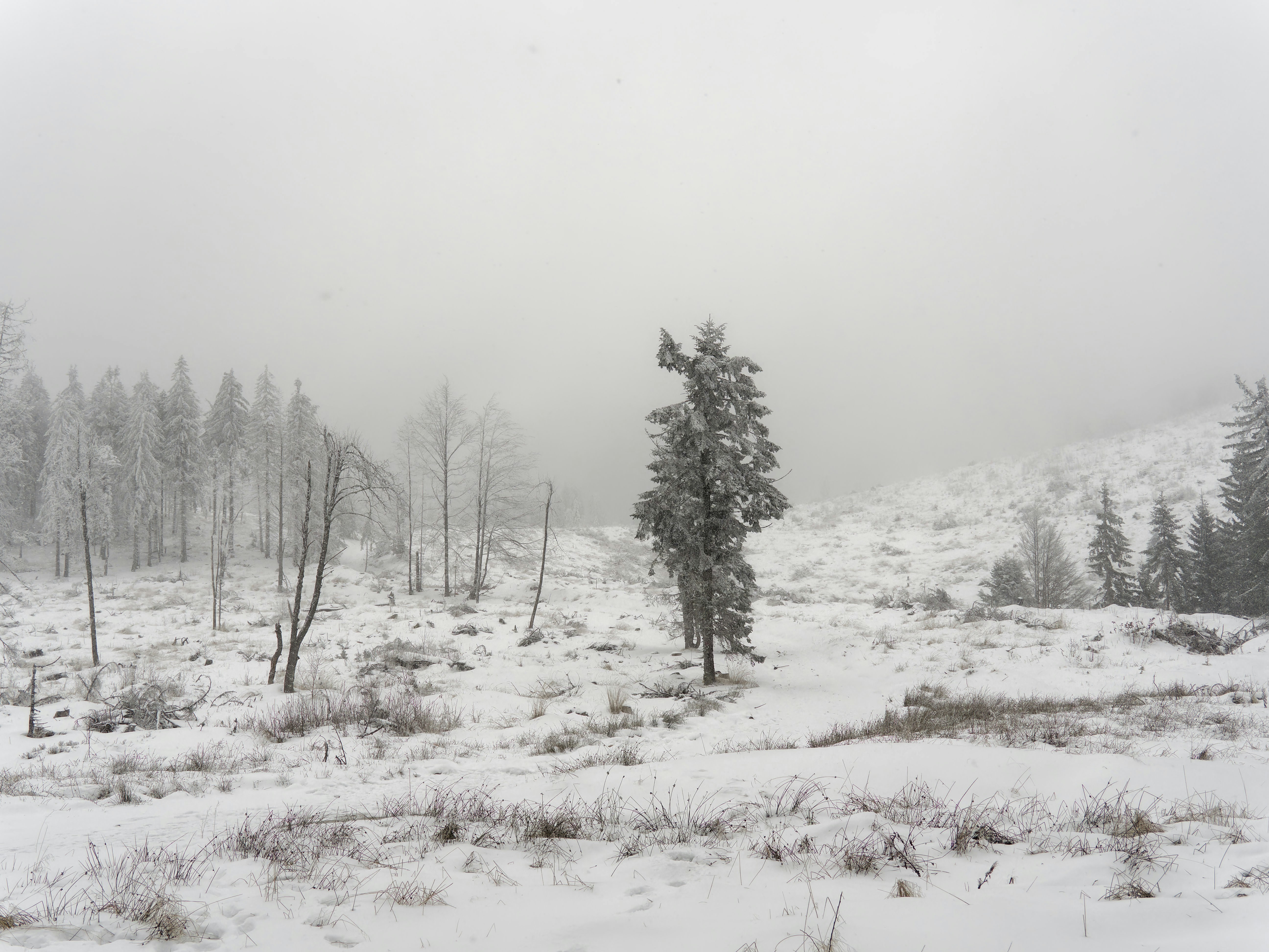 Photo by illes_cristi