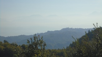 A serene landscape of the surrounding hills and greenery.