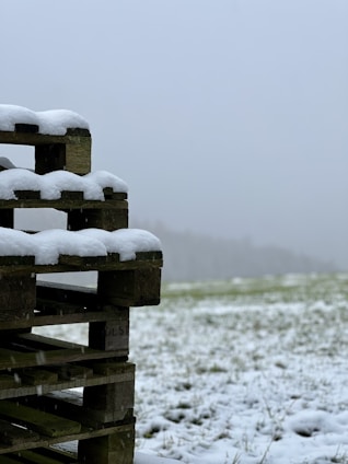 A stack of wooden pallets partially covered with snow stands in the foreground against a backdrop of a snowy field. The sky is overcast and grey, creating a cold and wintry atmosphere. The snow lightly covers the grass and pallets, suggesting a recent snowfall.