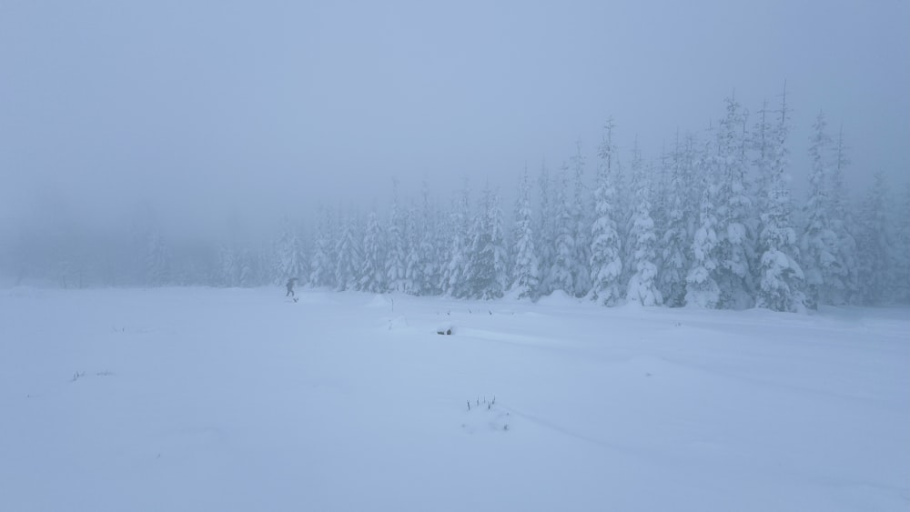 a snow covered field with trees in the background