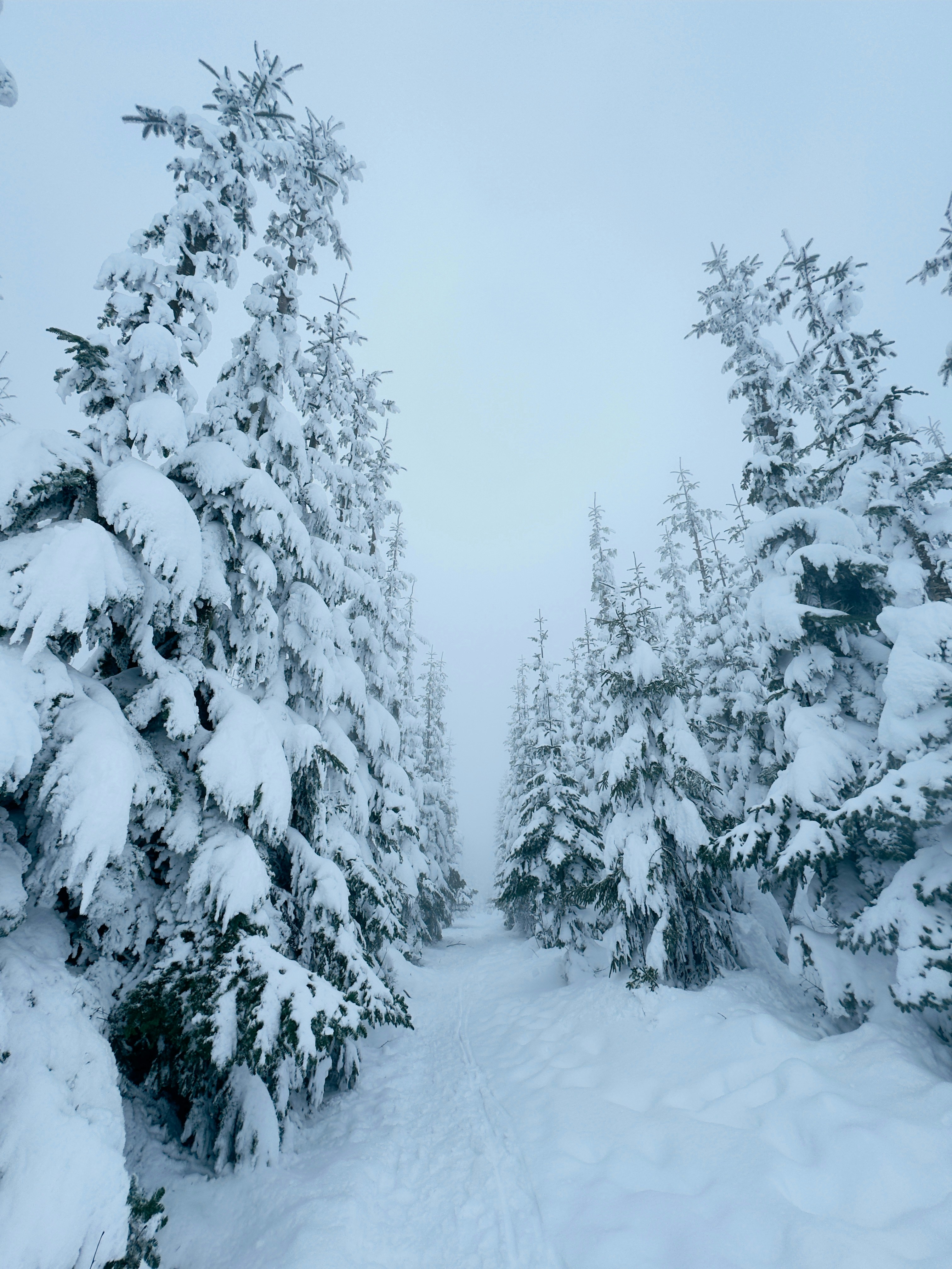 Photo by lars_eberhardt