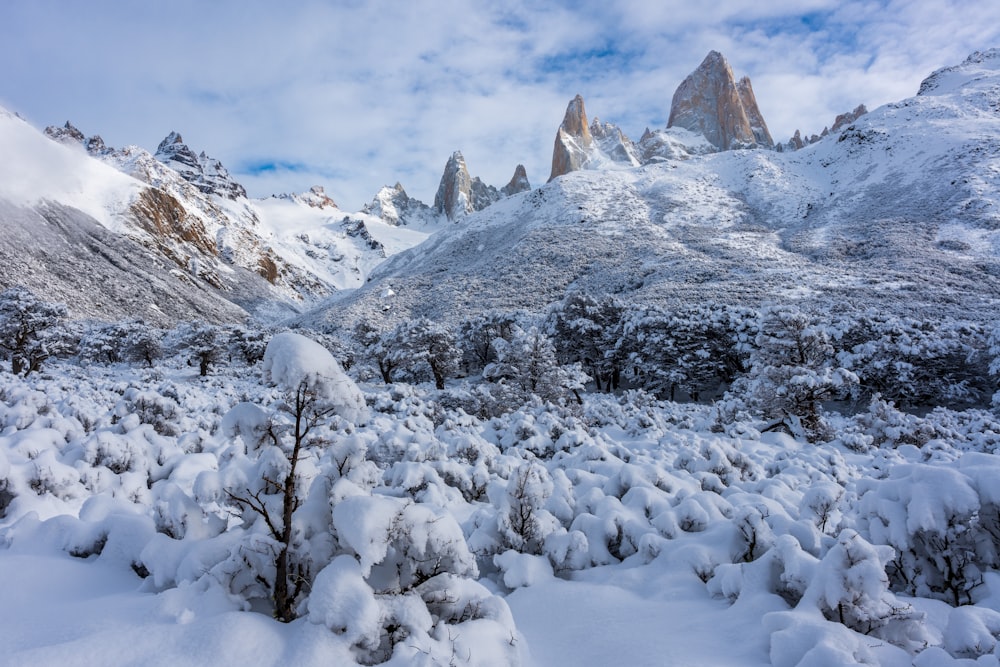 a snowy landscape with mountains in the background