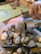 A collection of variously colored and textured small stones are placed in a container. In the foreground, a unique stone with intricate patterns is held by a clamp-like tool. The stone is gray with white markings, resembling a natural design. In the background, there is a blurry interior scene including what appears to be toys and possibly a dog.