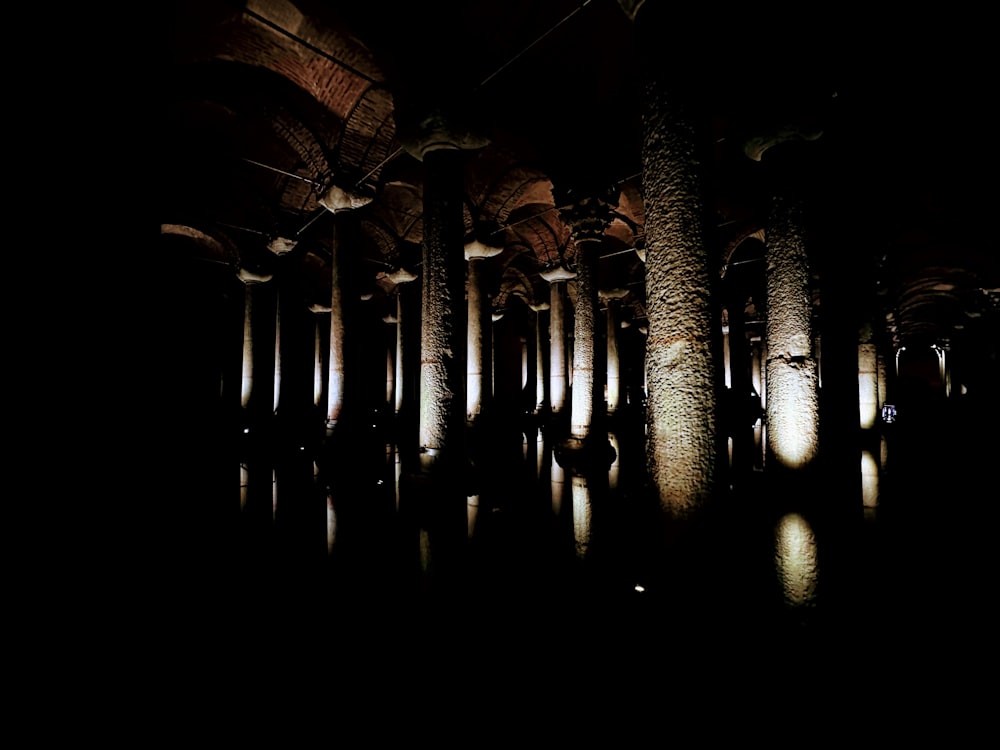 a row of trees in a dark room