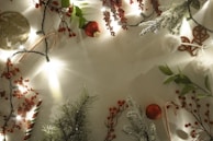 Christmas-themed decorations including sprigs of artificial pine, clusters of red berries, candy canes, baubles, and string lights are arranged around the perimeter of the image, creating a festive border on a blank background.