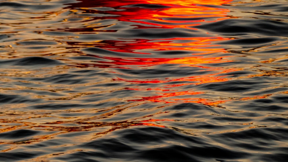a red and yellow object floating on top of a body of water