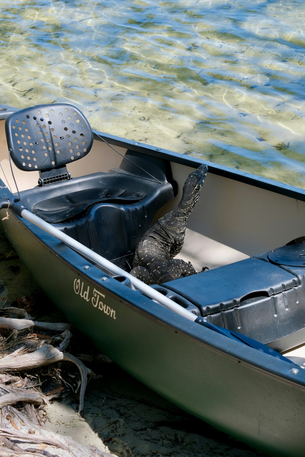 a small boat with an alligator in it on the water