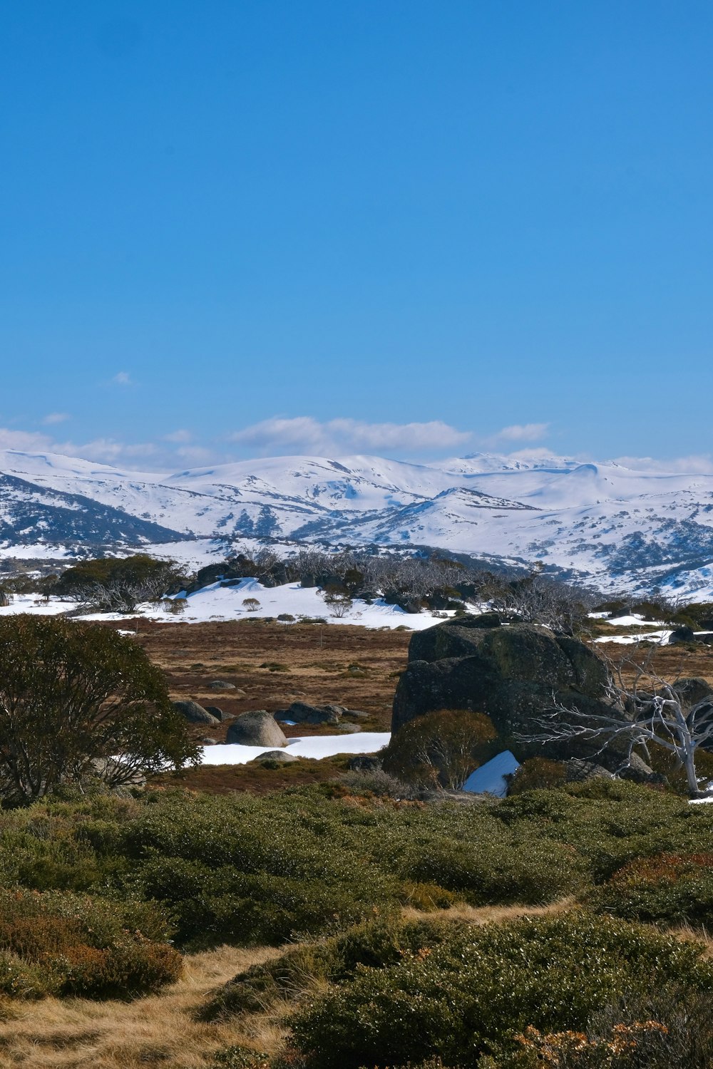 a mountain range covered in snow and grass