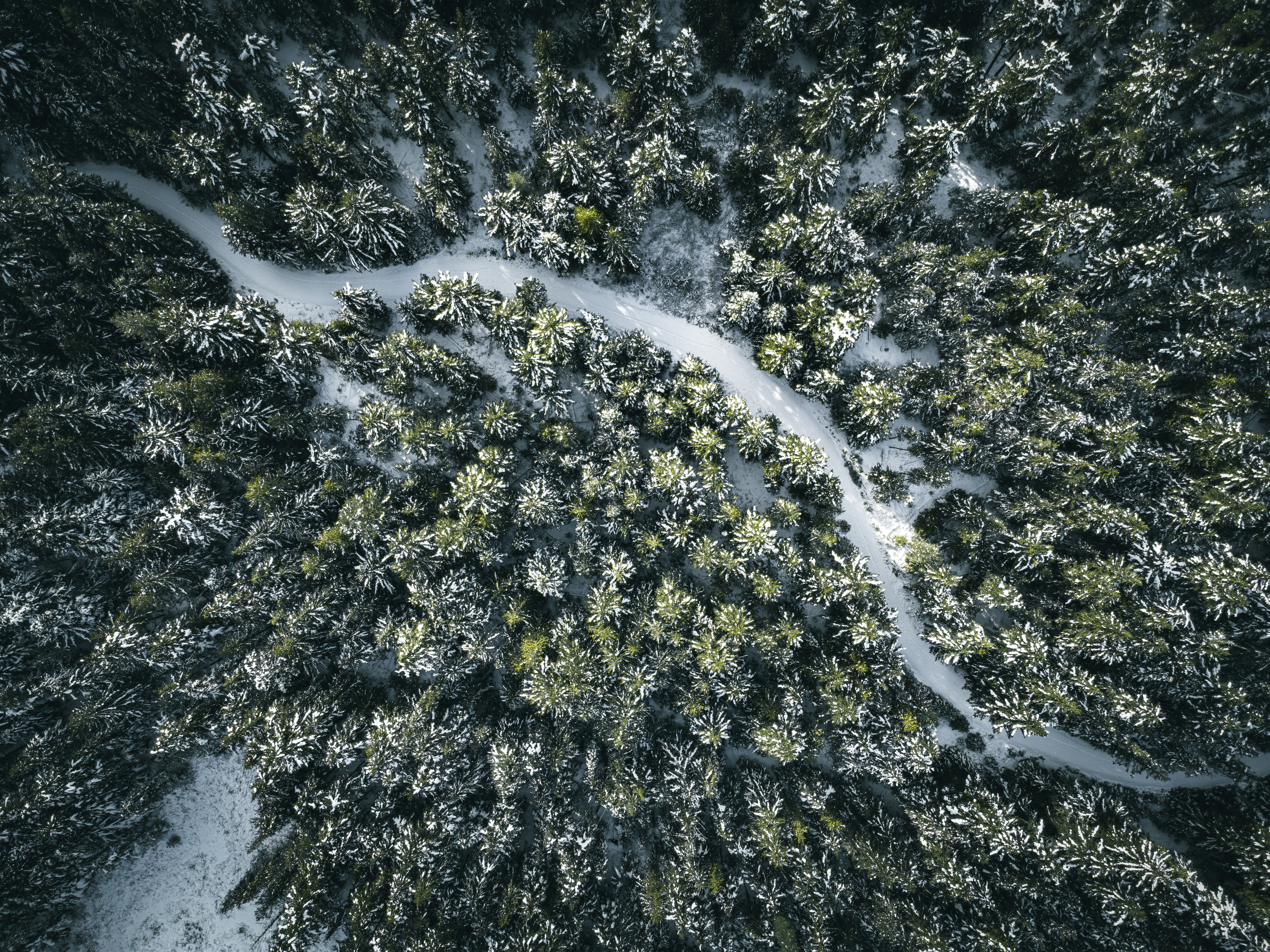 Photo by dillon_hunt