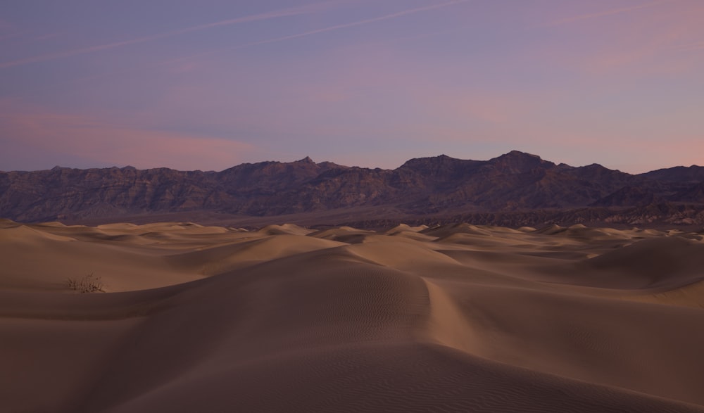 a desert landscape with mountains in the distance