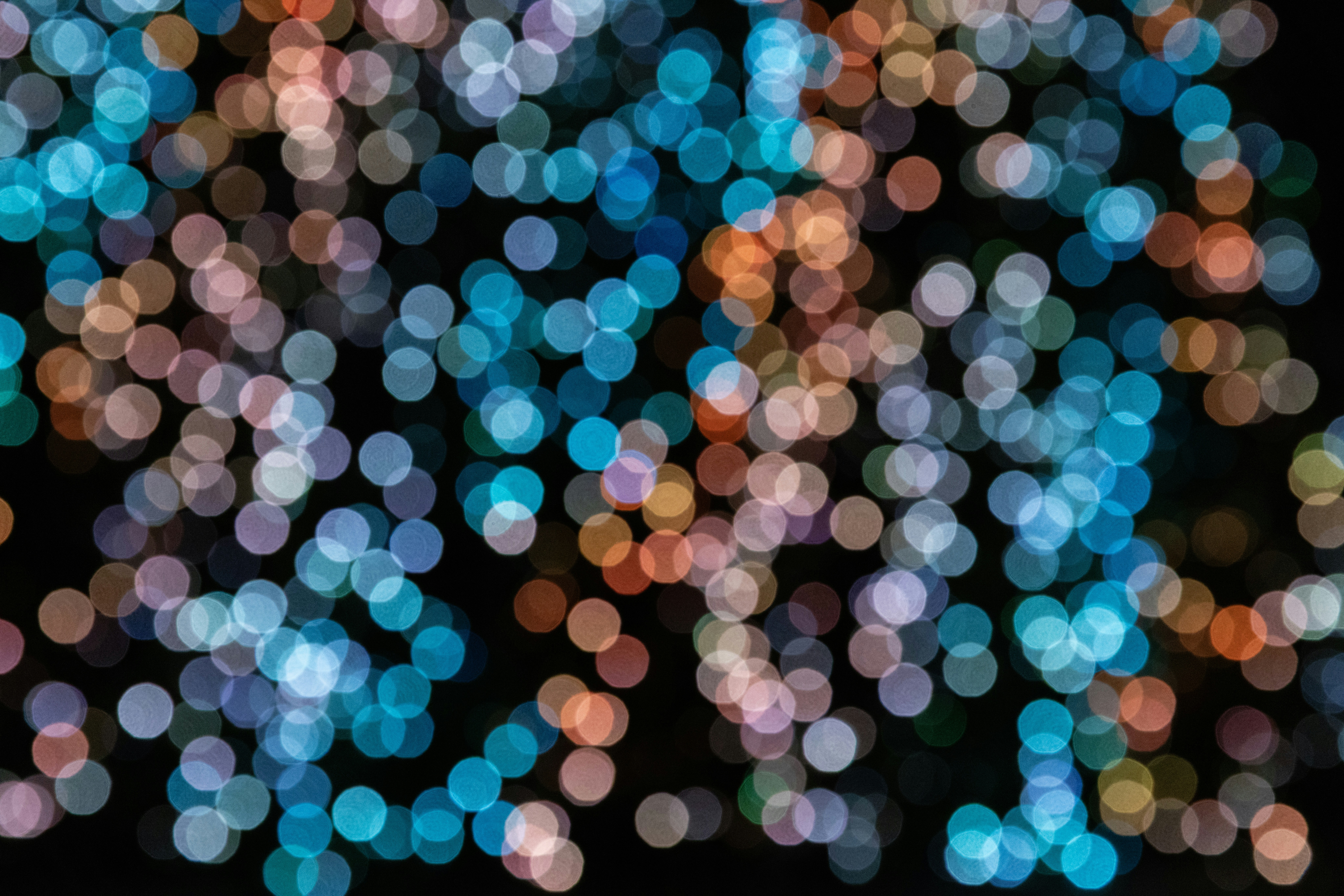 Photo by rocinante_11