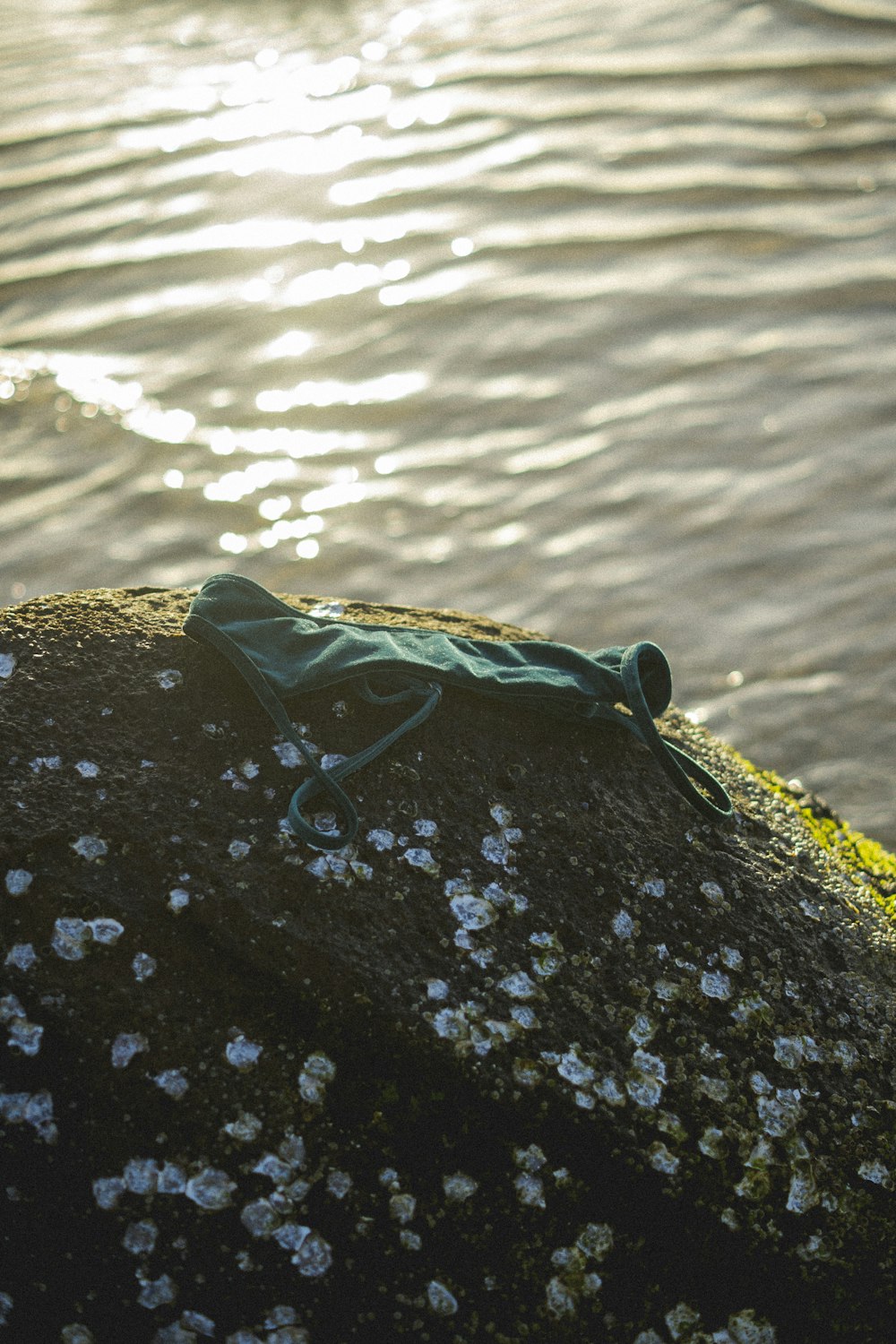 a green bag sitting on top of a rock near the water