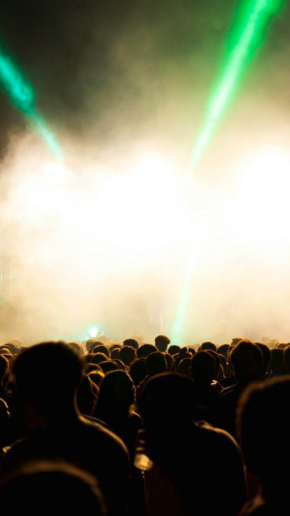 a large crowd of people watching a concert