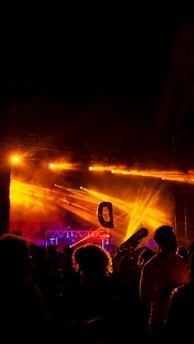 A lively concert or festival scene at night with bright orange and yellow stage lights illuminating the crowd. Silhouettes of people are visible in the foreground, adding a sense of movement and excitement. A large balloon letter 'D' is floating above the audience, adding to the festive atmosphere.