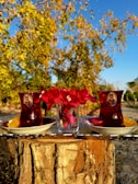 Two glasses of tea with ornate designs and a small vase of vibrant red flowers are placed on a tree stump. The background features a lush, sunlit garden with green and yellow foliage under a clear blue sky.