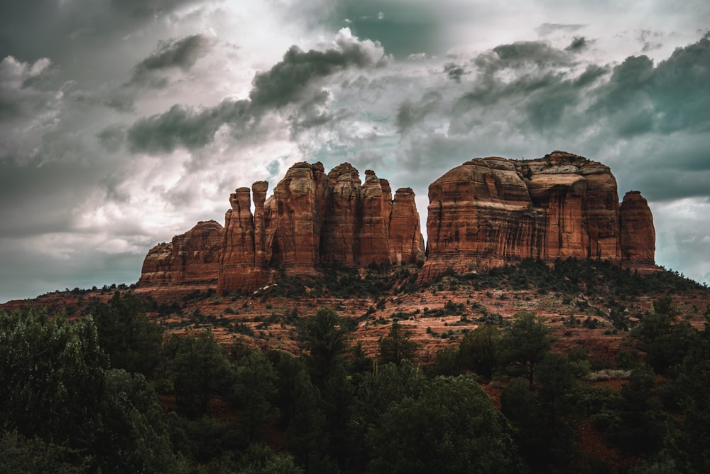 a large rock formation in the middle of a forest