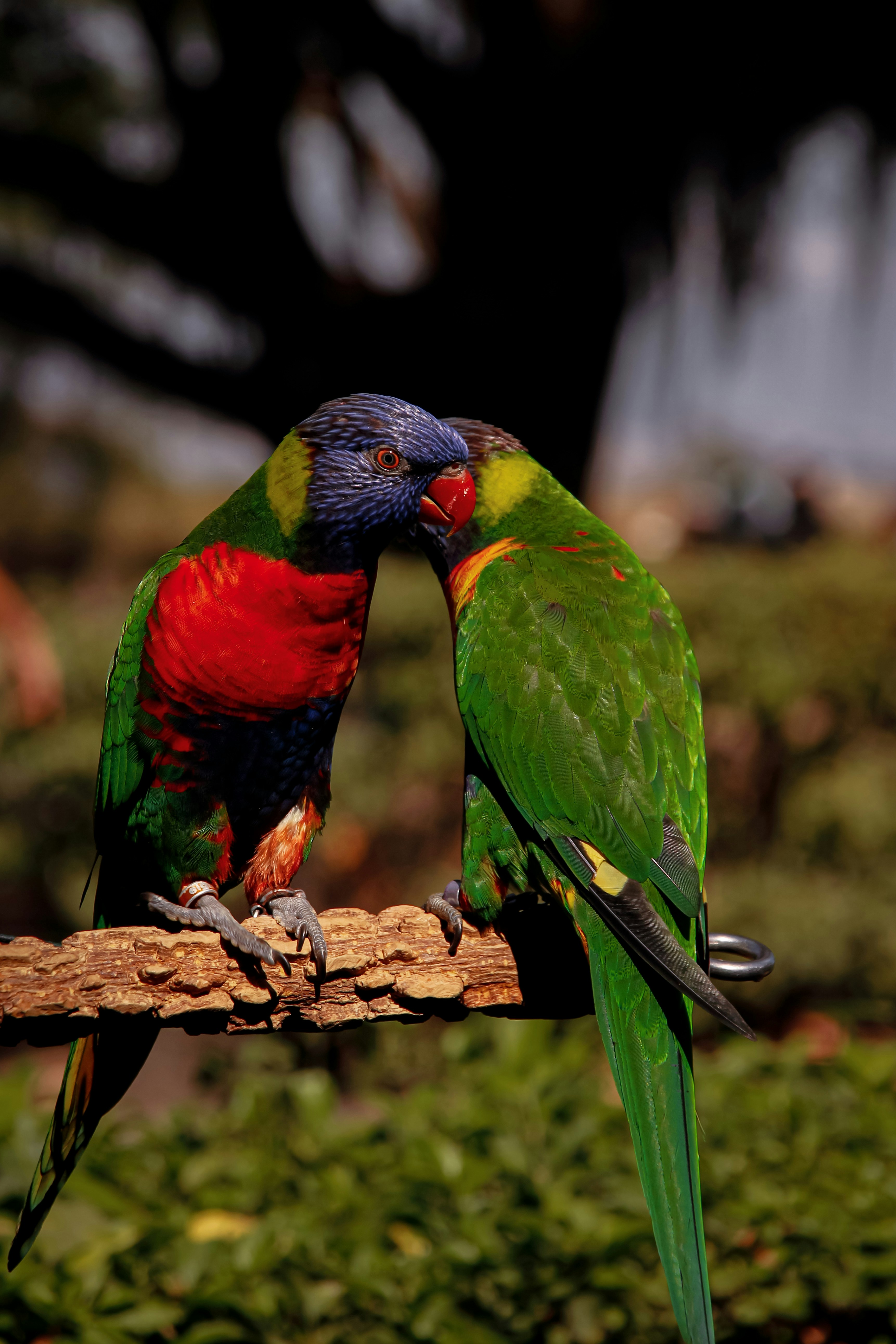 Photo by babylynsantos78