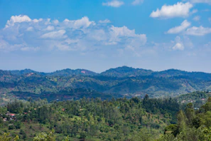 A serene view of Tripura's rolling green hills under a bright blue sky.
