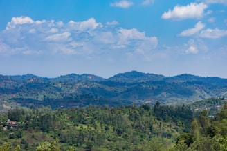 A serene view of Tripura's rolling green hills under a bright blue sky.