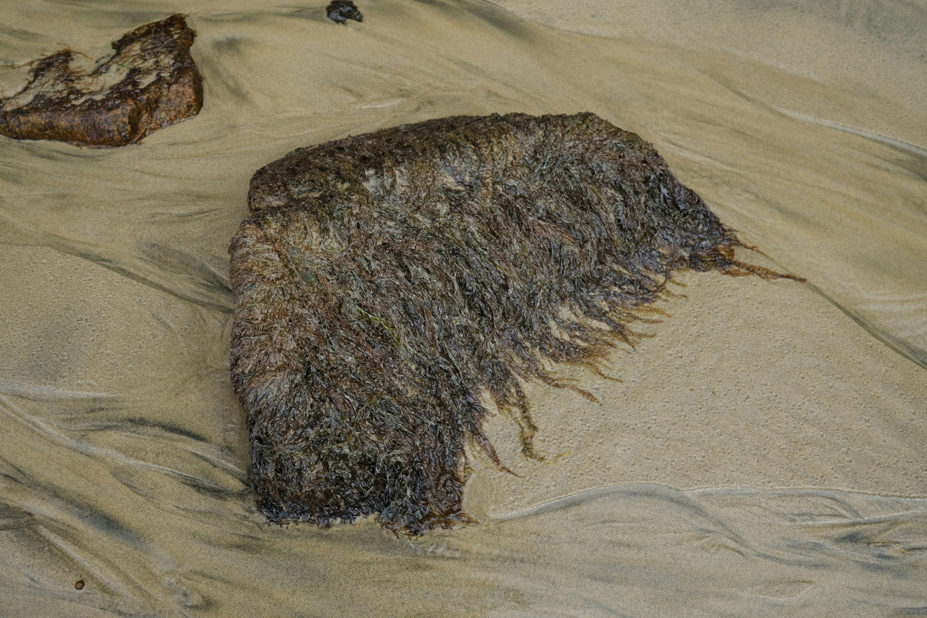 Photo by sian_nelson