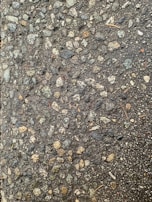 A close-up view of a textured asphalt surface, with various small and medium-sized stones embedded within it. The surface appears slightly wet, enhancing the contrast and making the stones stand out. Some small twigs are also visible on the surface.