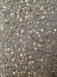 A close-up view of a textured asphalt surface, with various small and medium-sized stones embedded within it. The surface appears slightly wet, enhancing the contrast and making the stones stand out. Some small twigs are also visible on the surface.