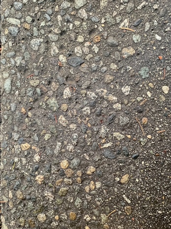 A close-up view of a textured asphalt surface, with various small and medium-sized stones embedded within it. The surface appears slightly wet, enhancing the contrast and making the stones stand out. Some small twigs are also visible on the surface.