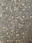 Close-up of freshly sealed asphalt driveway glistening under the Maine sun.